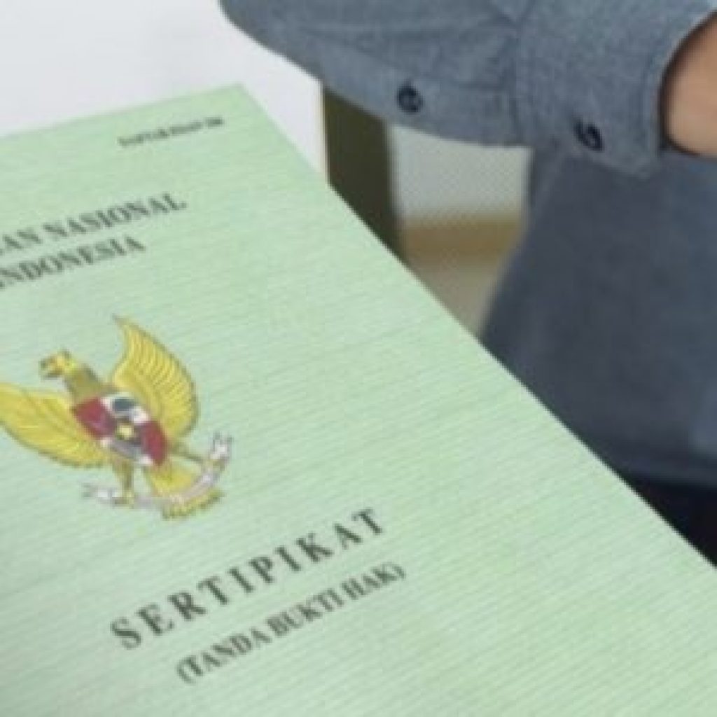 IMG_20210926_155647-300x300