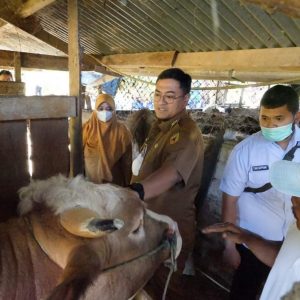 Kotoran Ternak Punya Nilai Ekonomis Tinggi