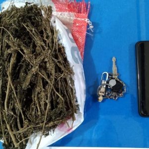 Nekad Transaksi Ganja Saat Bulan Puasa, Seorang Mahasiswa Diringkus Polisi