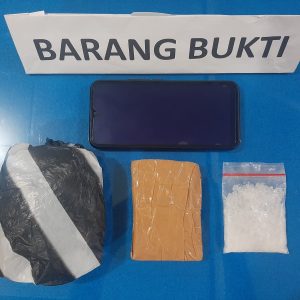 Pelaku Penyalah Gunaan Narkotika Diringkus Petugas
