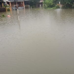Eva Pimred Anekafakta.com, Minta Pemkot Tangerang Harus Sigap Atasi Banjir Diwilayah Ciledug dan Sekitarnya