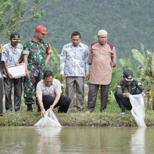 TEBAR 38.000 BENIH IKAN UNTUK POKDAKAN DI BALAI PANJANG, INI HARAPAN BUPATI SAFARUDDIN