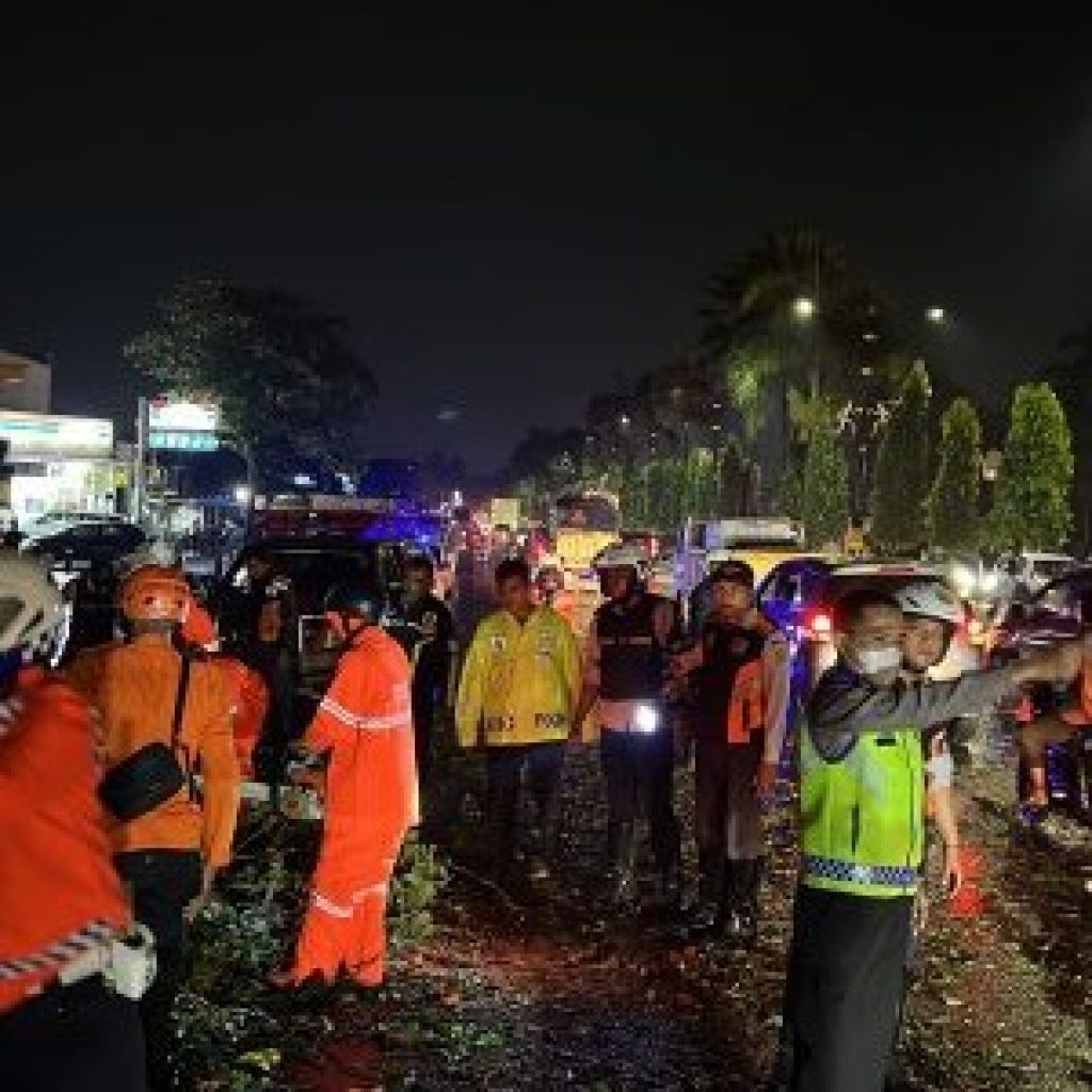 IMG-20220813-WA0026-300x300~2