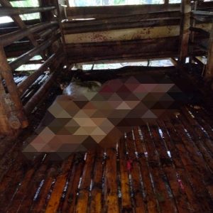 Rumpin Polres Bogor Gelar PenyelidikanPolsek Kasus Pencurian Hewan Ternak Milik Warga