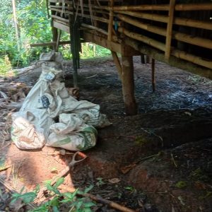 Polsek Rumpin Polres Bogor Gelar Penyelidikan Kasus Pencurian Hewan Ternak Milik Warga