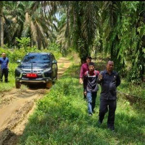Ketua DPRD Pariyanto Tinjau Akses Jalan Nagari Koto Tinggi Ke PT SMP