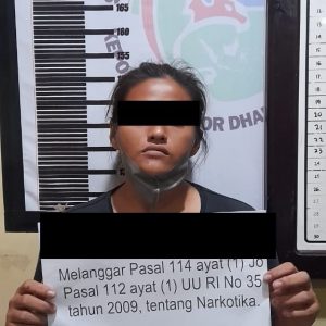 Seorang Perempuan Kulir Narkoba Diciduk Satresnarkoba Polres Dharmasraya