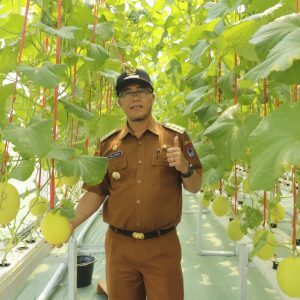 Wako Rida Ananda Apresiasi Kisai Agro Sebagai Salahsatu Destinasi Agrowisata Terbaik Di Payakumbuh