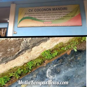 CV. Coconan Mandiri Tidak memiliki Dokumen Amdal Selama 6 Tahun ,Warga teriak akibat Pembuangan Limbah