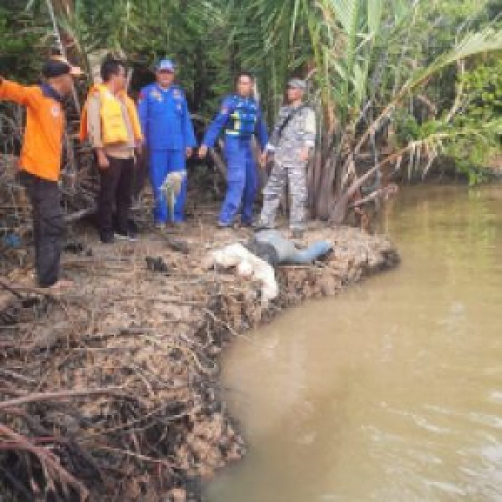 TNI AL, Lanal Dumai dan Jajajaran Berhasil Temukan Mayat Korban Laka Laut SB. Evelyn Calisca 01