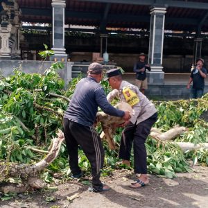Bhabinkamtibmas Peduli Bersihkan Potongan Kayu Tumbang Bersama Masyarakat