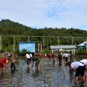Jaga Kelestarian Lingkungan Maritim, Lanal Tarempa Bersama Satuan TNI-Polri dan Pramuka di Kepulauan Anambas Tanam Mangrove Secara Massal