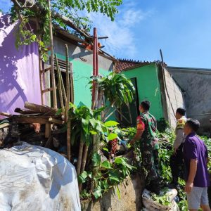 Rumah Warga Alami Kerusakan Akibat Tertimpa Pohon Tumbang, Bhabinkamtibmas Polsek Cibinong Polres Bogor Lakukan Penanganan