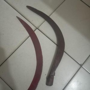 Polsek Parung Polres Bogor Amankan Seorang Remaja Yang di Duga Gengster