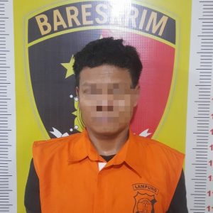 Dua Pelaku Warga Desa Purwodadi Mencuri TV, Di Ringkus Polisi