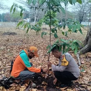 Polsek Kepulauan Seribu Utara Bersama Warga Gencar Tanam Pohon untuk Bersihkan Udara
