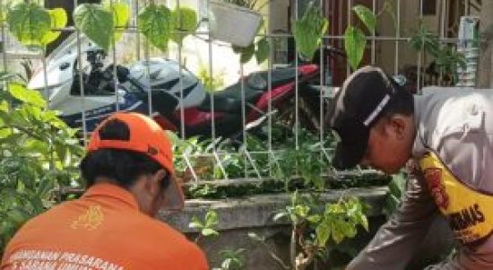 IMG-20231123-WA0241-300x300