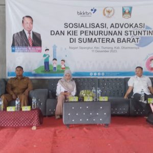 Suir Syam:  Cegah Stunting Sejak Bayi Dalam Rahim Ibu