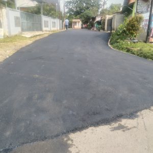 IMG_20231215_140749-300x300