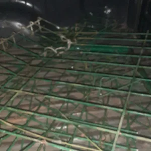 Polsek Parung Berhasil Mengamankan Pelaku Pencurian di Pemandian Air Panas Tirta Sayaga