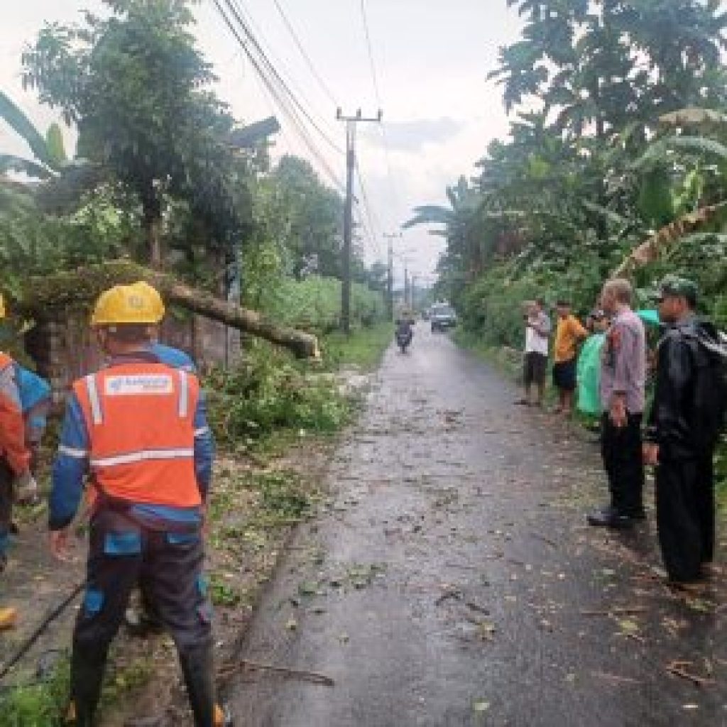 IMG-20240419-WA0040-300x300