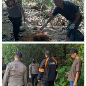 Polsek Gunung Putri Lakukan Olah TKP Tetkait Temuan Mayat Bayi Di Pinggir Kali Cikeas