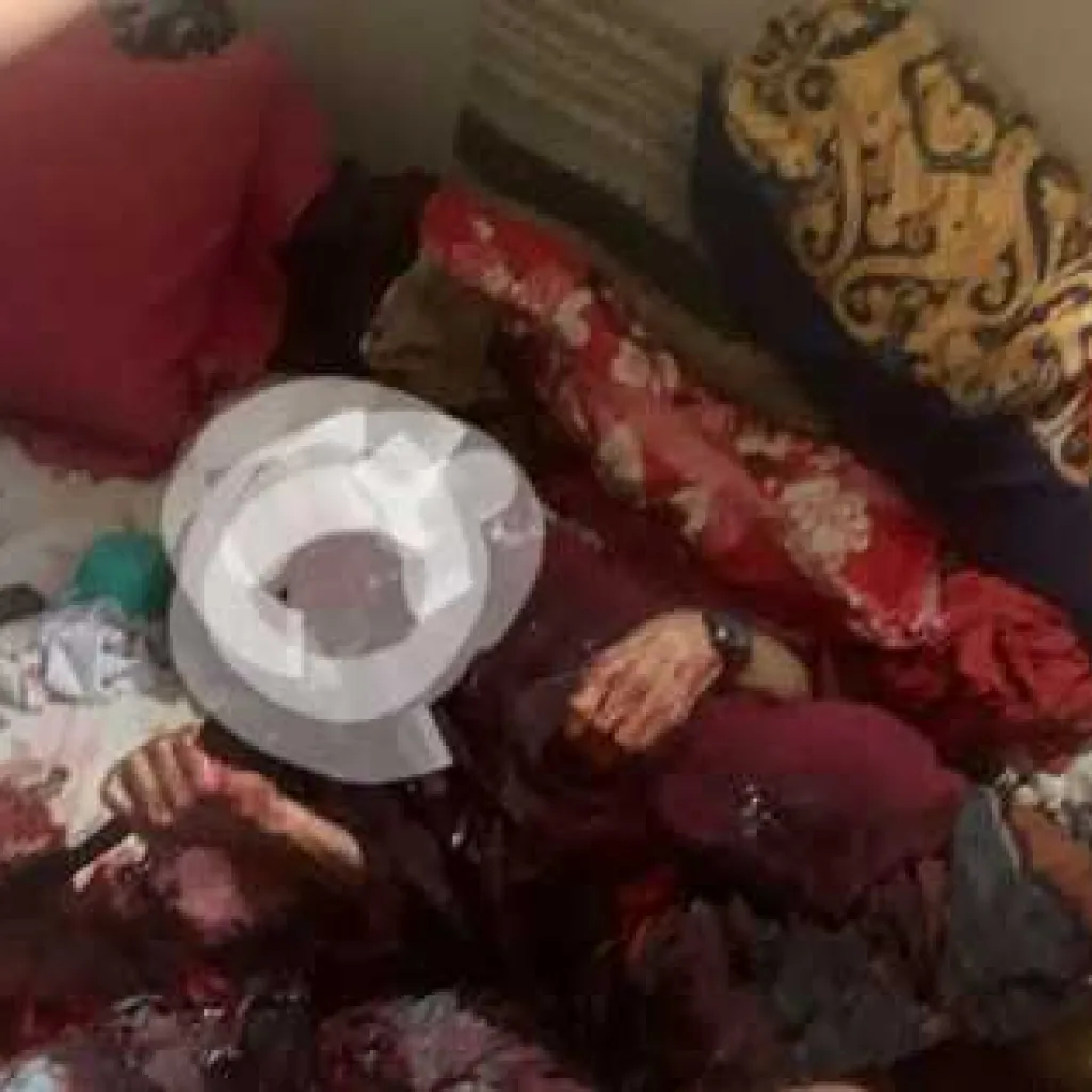 IMG-20240822-WA0056_1724298330918