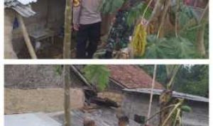 IMG-20240914-WA0045_1726285522320