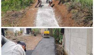 IMG-20240921-WA0050_1726897356446