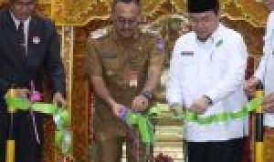 IMG_20241021_170001_855-150x150