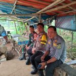 Bhabinkamtibmas Polsek Parung bersinergi dengan TNI menjalin kedekatan Dengan masyarakat Desa binaan