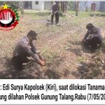 Perdayakan Lahan Kosong, Kapolsek Ajak Jajaran Tanami Dengan Tanaman Jagung