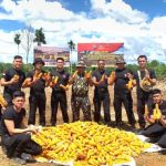 Brimob Sumbar Dukung Swasembada Pangan Lewat Penanaman Jagung Berkelanjutan