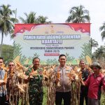 Kapolres Bogor Hadiri Panen Raya Jagung Serentak di Rumpin, Dukung Swasembada Pangan Nasional