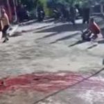 Insiden Tragis Saat Penyembelihan Sapi Kurban, Warga di Barulak Meninggal Dunia