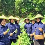 Panen Sayuran Pare di SAE Lapas Kelas IIA Tangerang, Wujud Nyata Pembinaan Kemandirian Warga Binaan