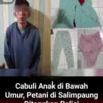 Cabuli anak di bawah umur, seorang petani di Kecamatan Salimpaung ditangkap polisi