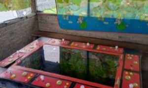 IMG-20251025-WA0071_1761410430469