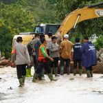 Tanah Datar Butuh Alat Berat Excavator dan Bulldozer