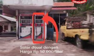 IMG-20251115-WA0054_1763196606361