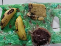 MBG di MI Suwawal Dinilai Gagal Total: Menu Tak Layak, Standar Gizi Diabaikan