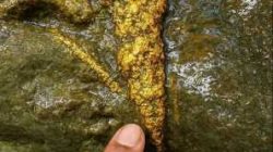 Sumbar Jadi Prioritas Percepatan Pengurusan Wilayah Pertambangan Rakyat