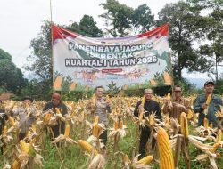 Polres Bogor Dukung Program Ketahanan Pangan Nasional melalui Panen Raya Jagung Serentak Kuartal I Tahun 2026