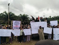 Ribuan Masyarakat Alahan Nan Tigo Nagari Lubuk Besar Demo PT. Tidar Kerinci Agung (TKA) Tuntut Janji Kebun Plasma